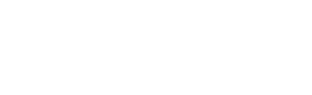 Fastify Cheetah Logo